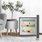 Bolero Cecotec Frigorífico mini E Inox 31L Dual TT 31 CoolMarket - Imagen 6