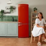 Frigorífico Cecotec Bolero CoolMarket 294L 190 cm E Rojo Combi Origin - Imagen 6